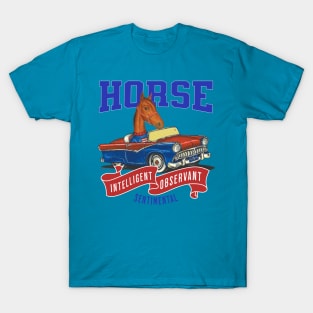 Humor funny and cute Horse driving a classic car to a retro parade with red white and blue flags T-Shirt